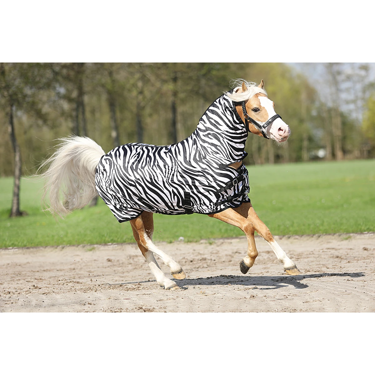 Vliegendeken Epplejeck Zebra Full Neck Zebra - Afbeelding 2