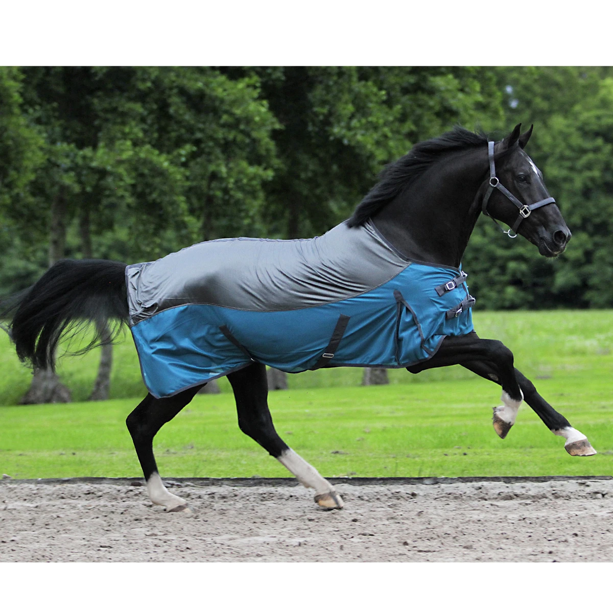 Vliegendeken Horsegear Catus Grijs-groen - Afbeelding 7