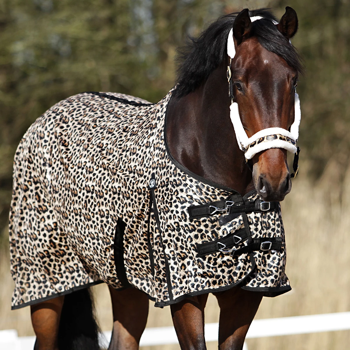 Vliegendeken Horsegear Leopard Overige - Afbeelding 3