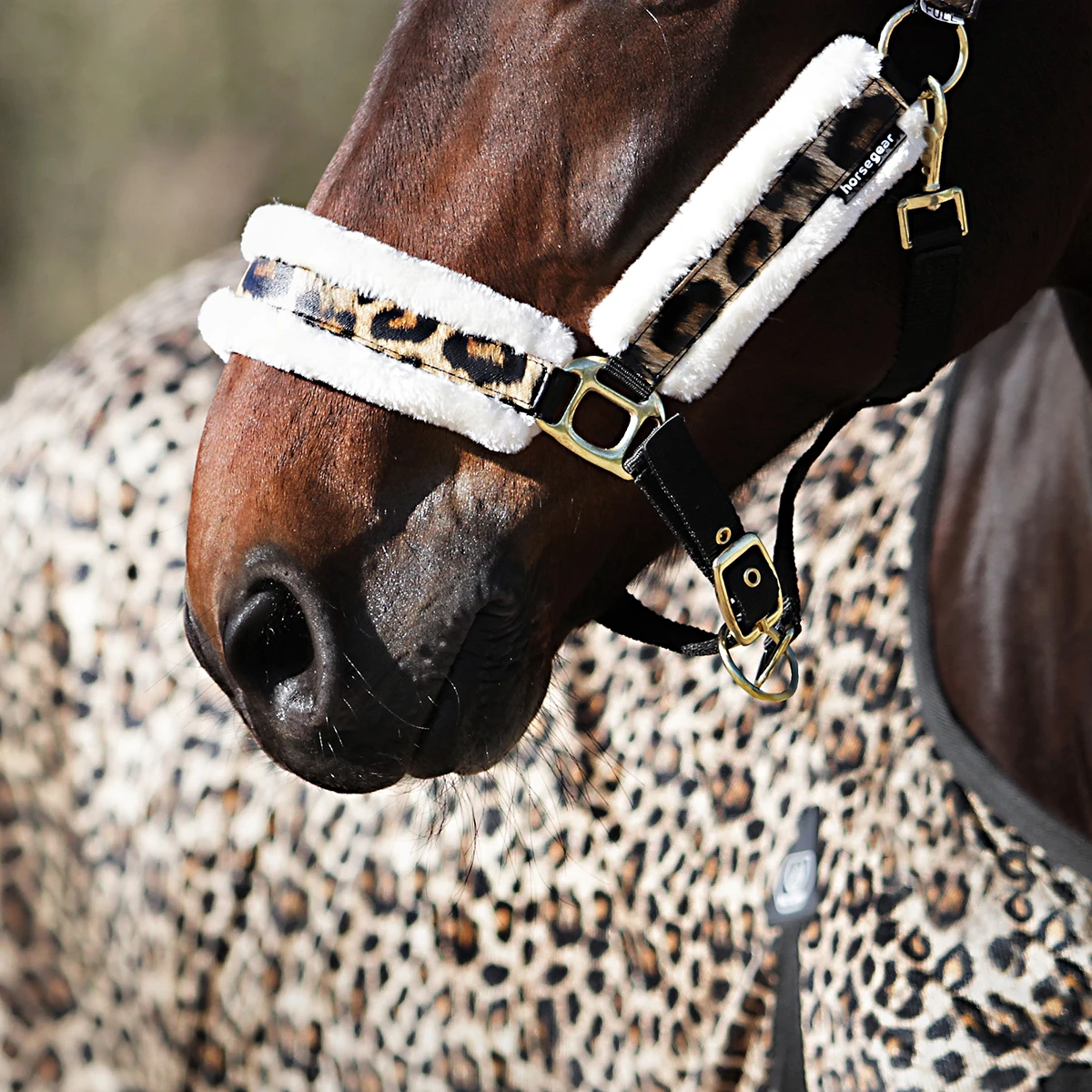 Vliegendeken Horsegear Leopard Overige - Afbeelding 4