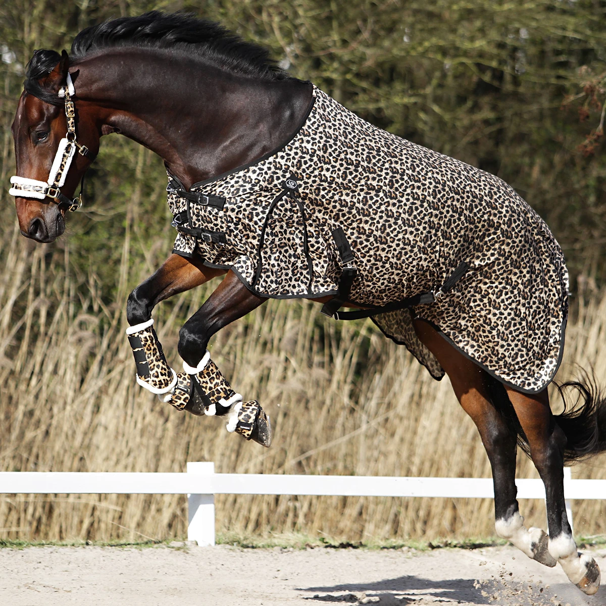 Vliegendeken Horsegear Leopard Overige - Afbeelding 5