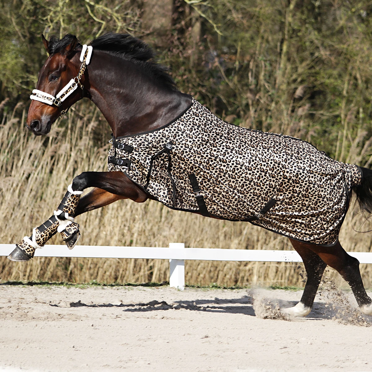 Vliegendeken Horsegear Leopard Overige - Afbeelding 6