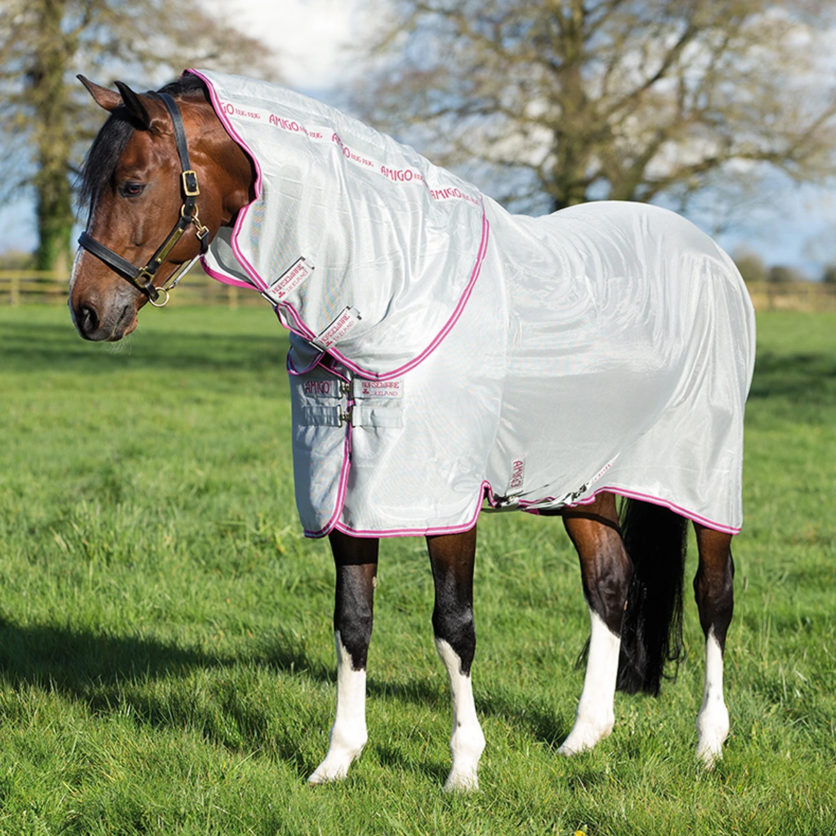 Vliegendeken Horseware Amigo Bug Rug Grijs-paars - Afbeelding 5