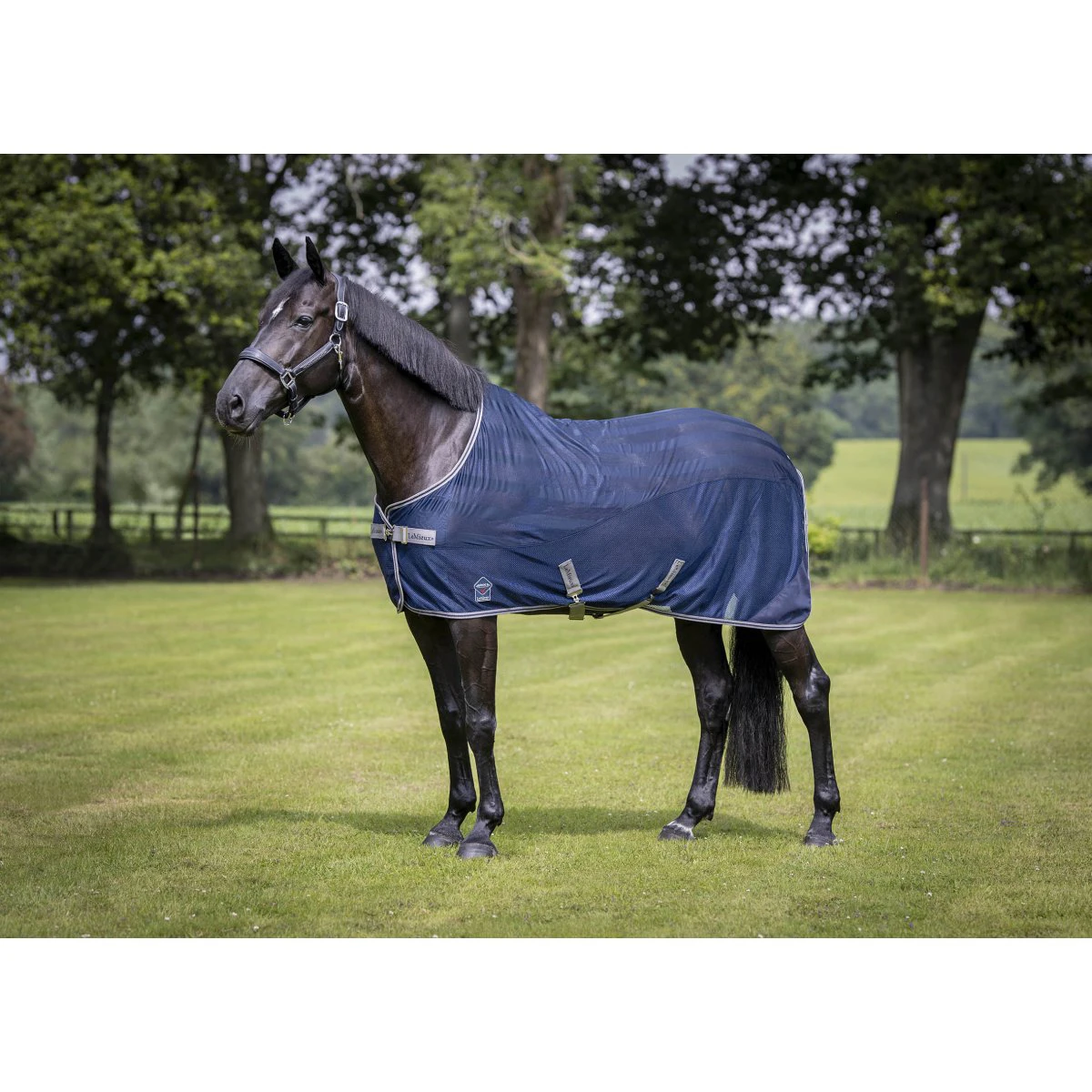 Vliegendeken LeMieux Arika Air-Tek Donkerblauw - Afbeelding 2