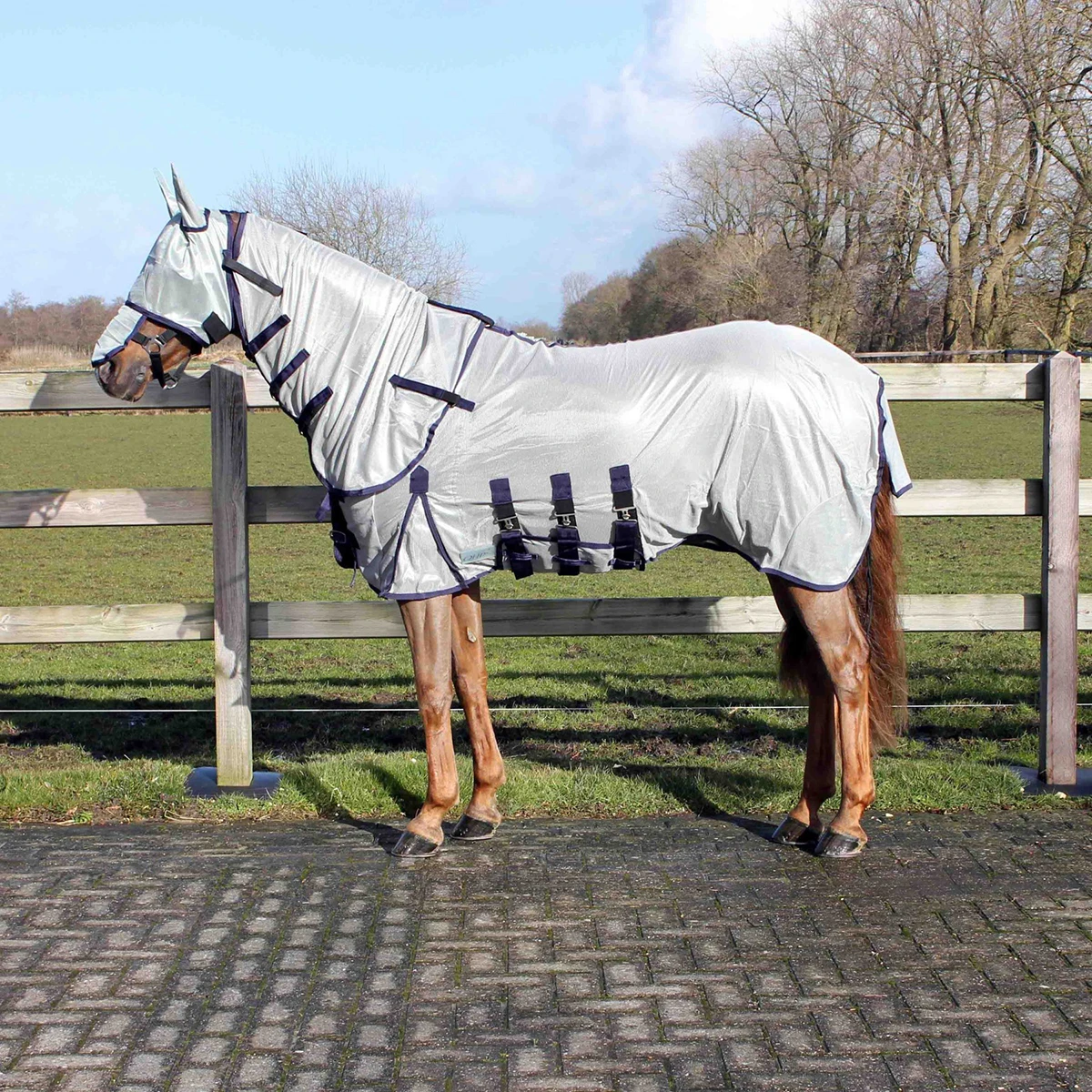 Vliegendeken QHP Met Hals En Masker Donkergrijs - Afbeelding 3
