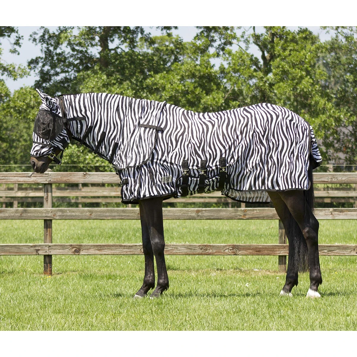 Vliegendeken QHP Met Hals En Masker Zebra - Afbeelding 5