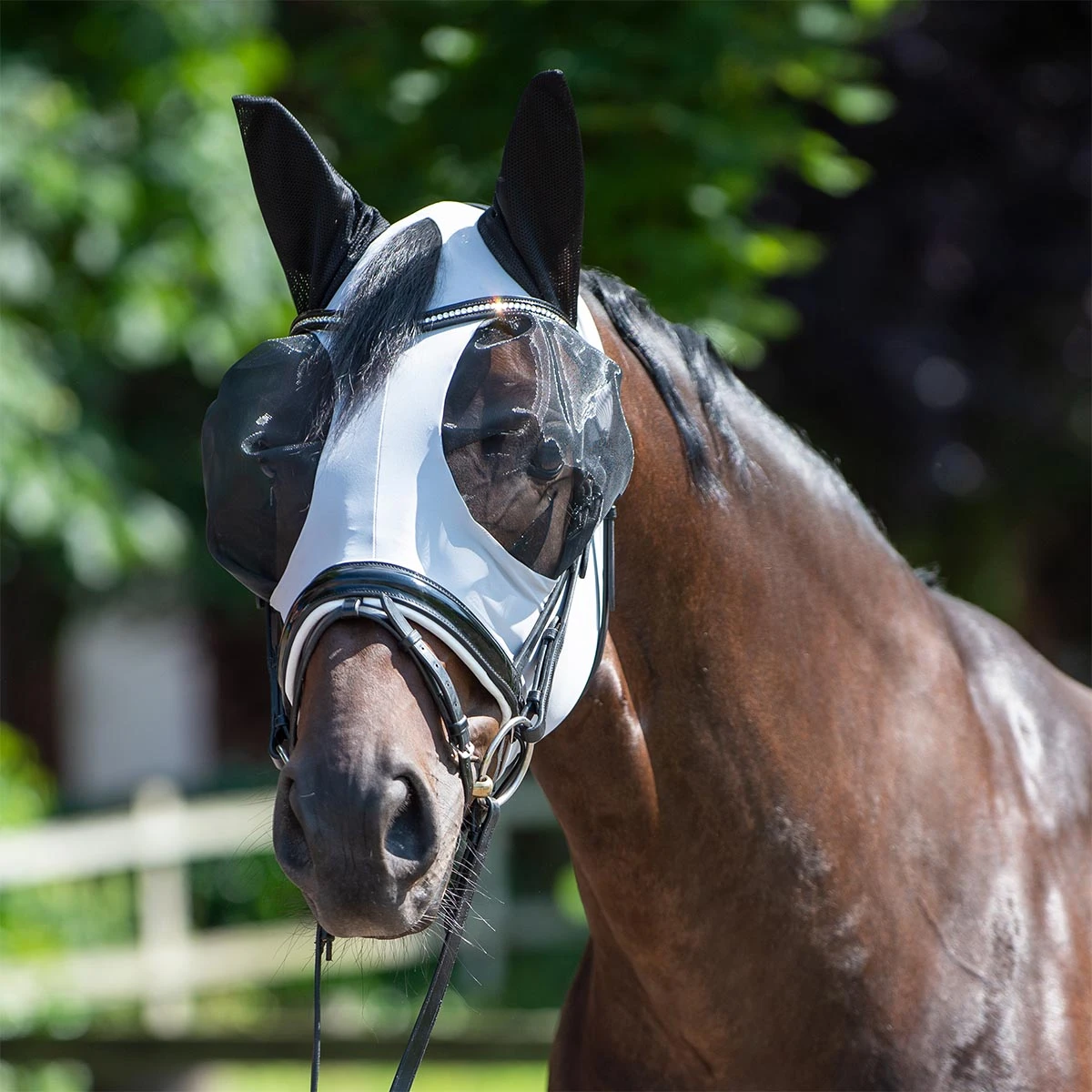 Vliegenmasker Busse Twin Fit Flexi Grijs - Afbeelding 3