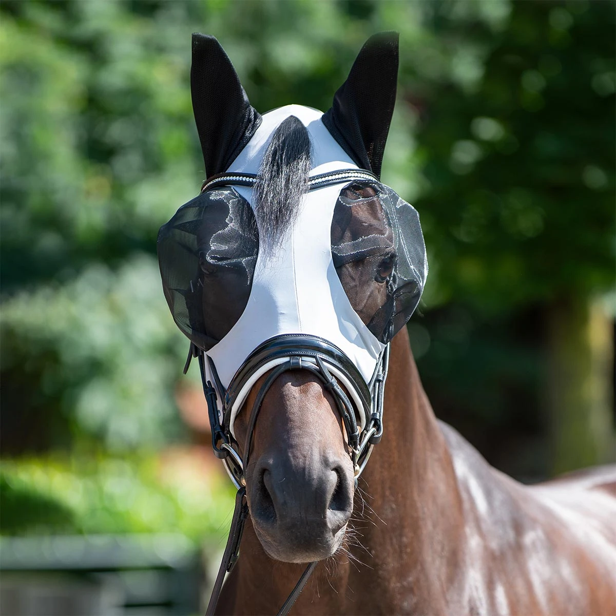 Vliegenmasker Busse Twin Fit Flexi Grijs - Afbeelding 4