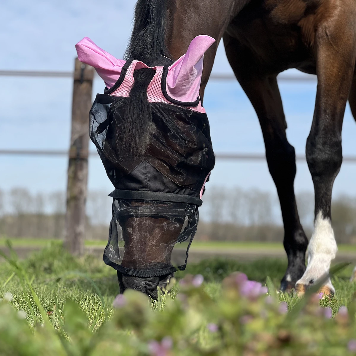 Vliegenmasker Horsegear Afneembare Neusflap Roze - Afbeelding 5