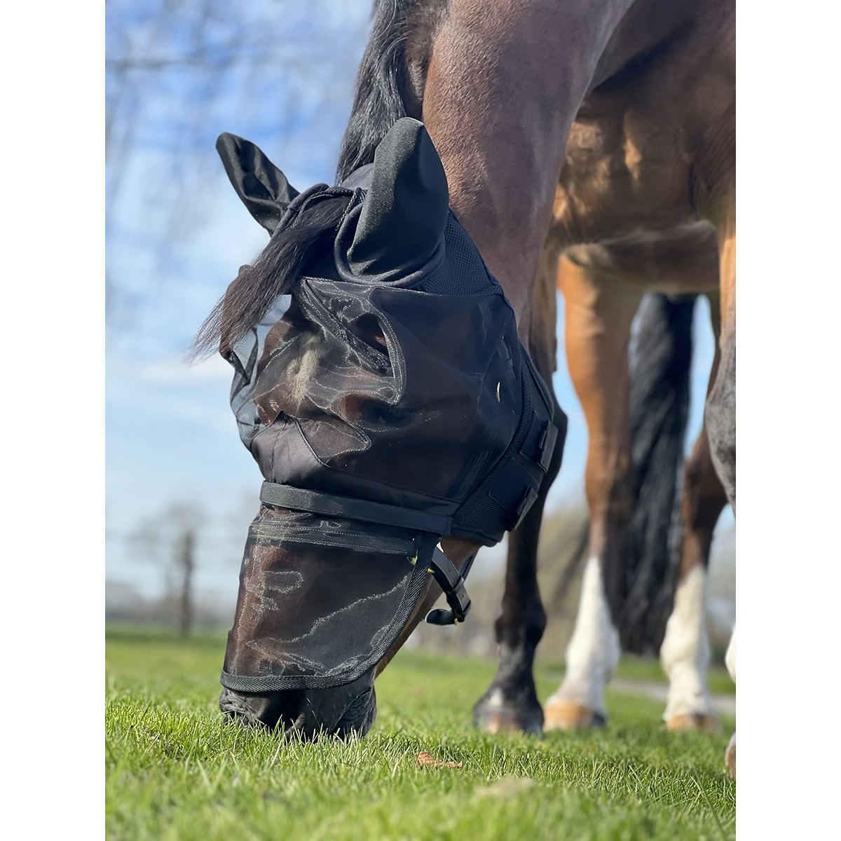 Vliegenmasker Horsegear Afneembare Neusflap Zwart - Afbeelding 5
