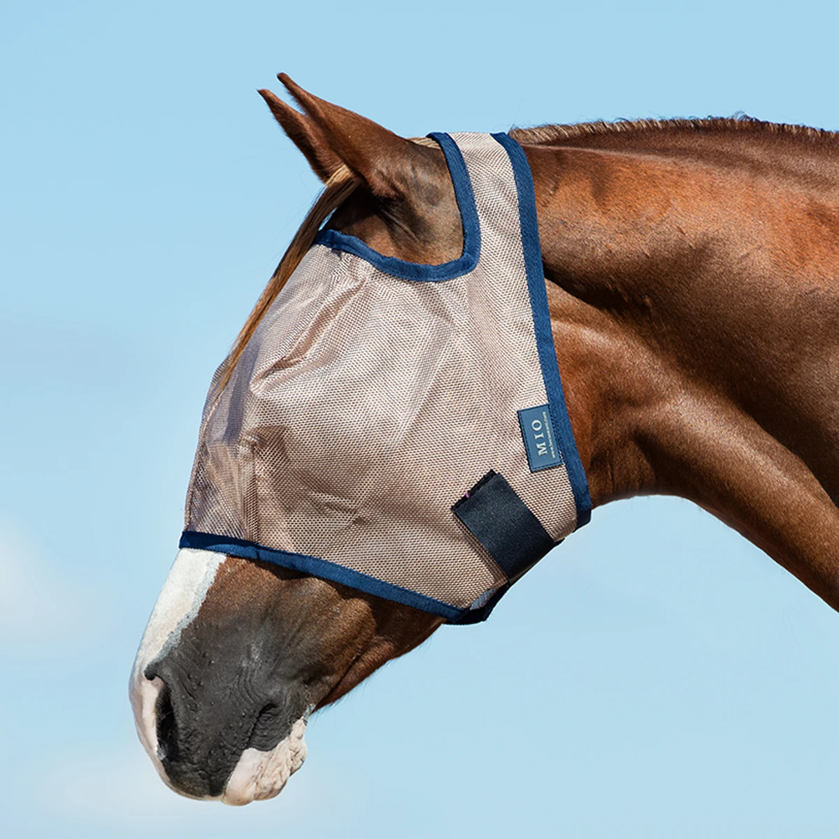 Vliegenmasker Horseware Mio No Ears Brons-blauw - Afbeelding 2