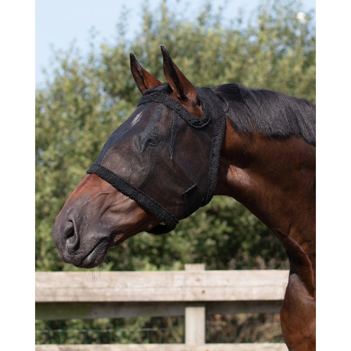 Vliegenmasker QHP Zonder Oren Zwart
