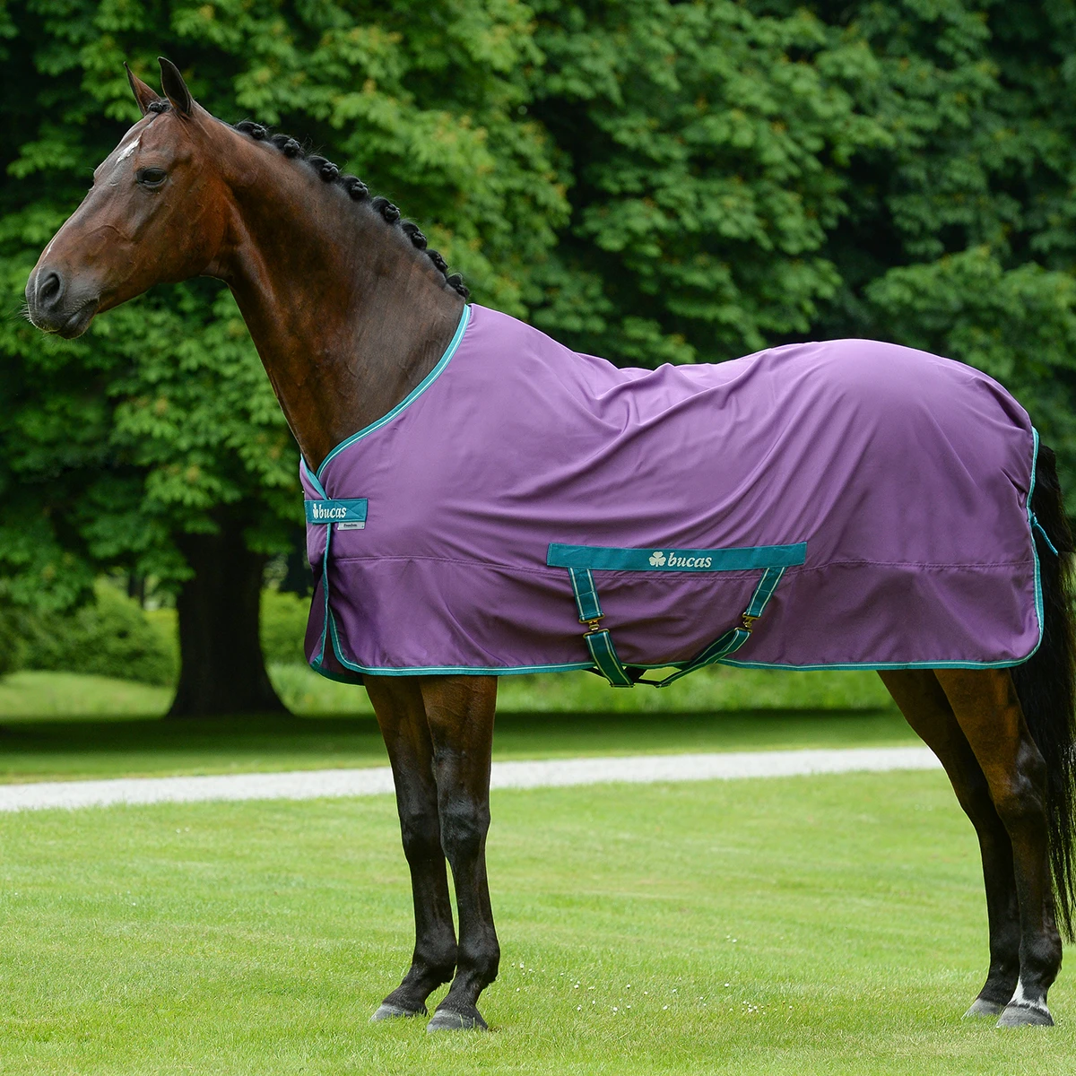 Zomerdeken Bucas Freedom Twill Sheet Paars - Afbeelding 4