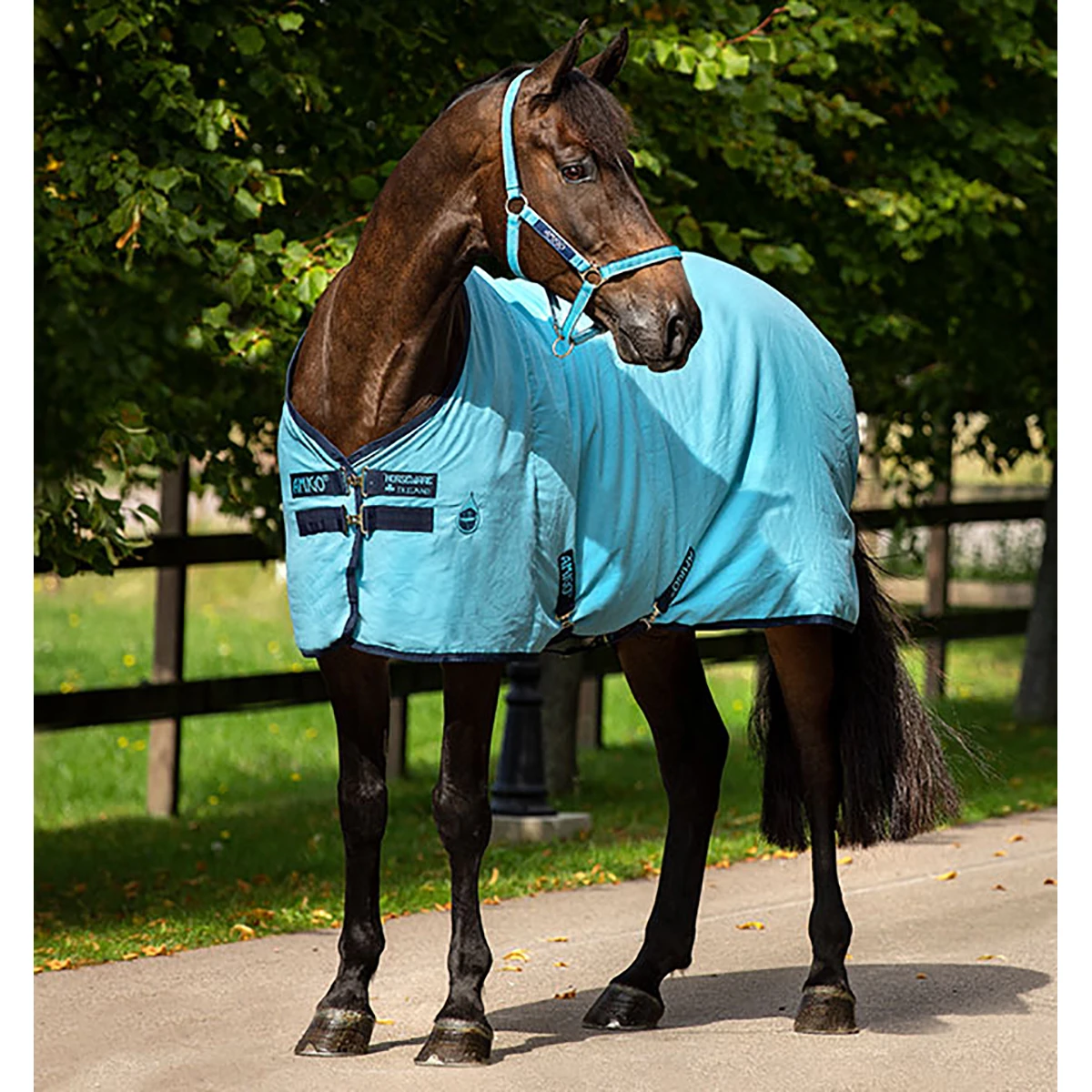 Zomerdeken Horseware Amigo Stable Blauw - Afbeelding 3