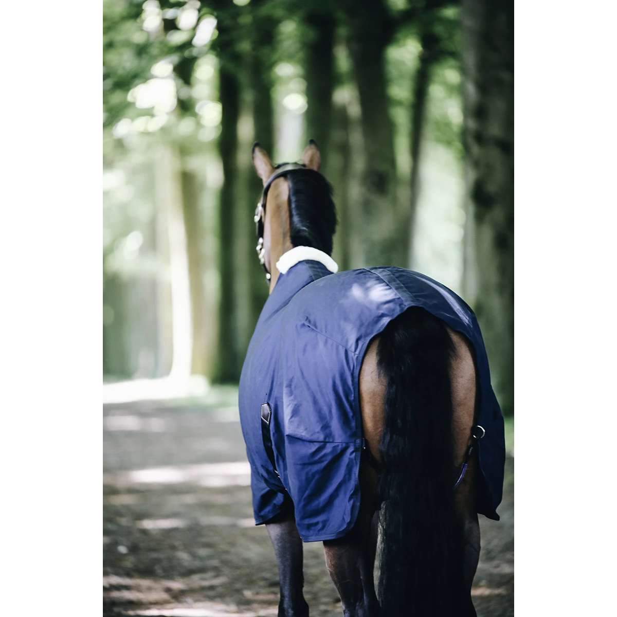 Zomerdeken Kentucky Donkerblauw - Afbeelding 3