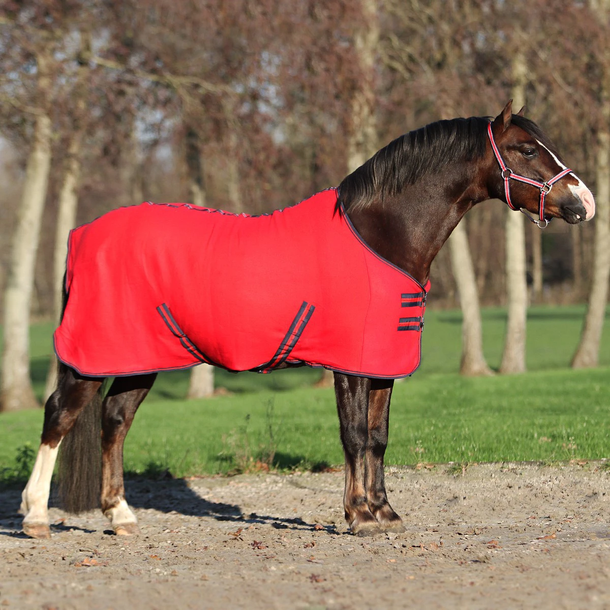 Zweetdeken Epplejeck Zafra Junior Rood - Afbeelding 5