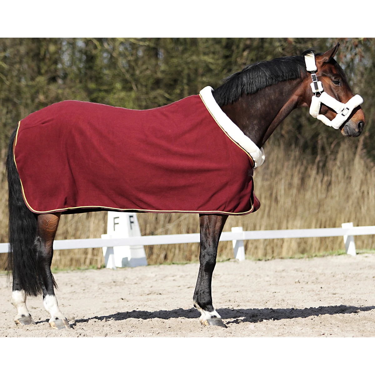 Zweetdeken Horsegear Allure Donkerrood - Afbeelding 3