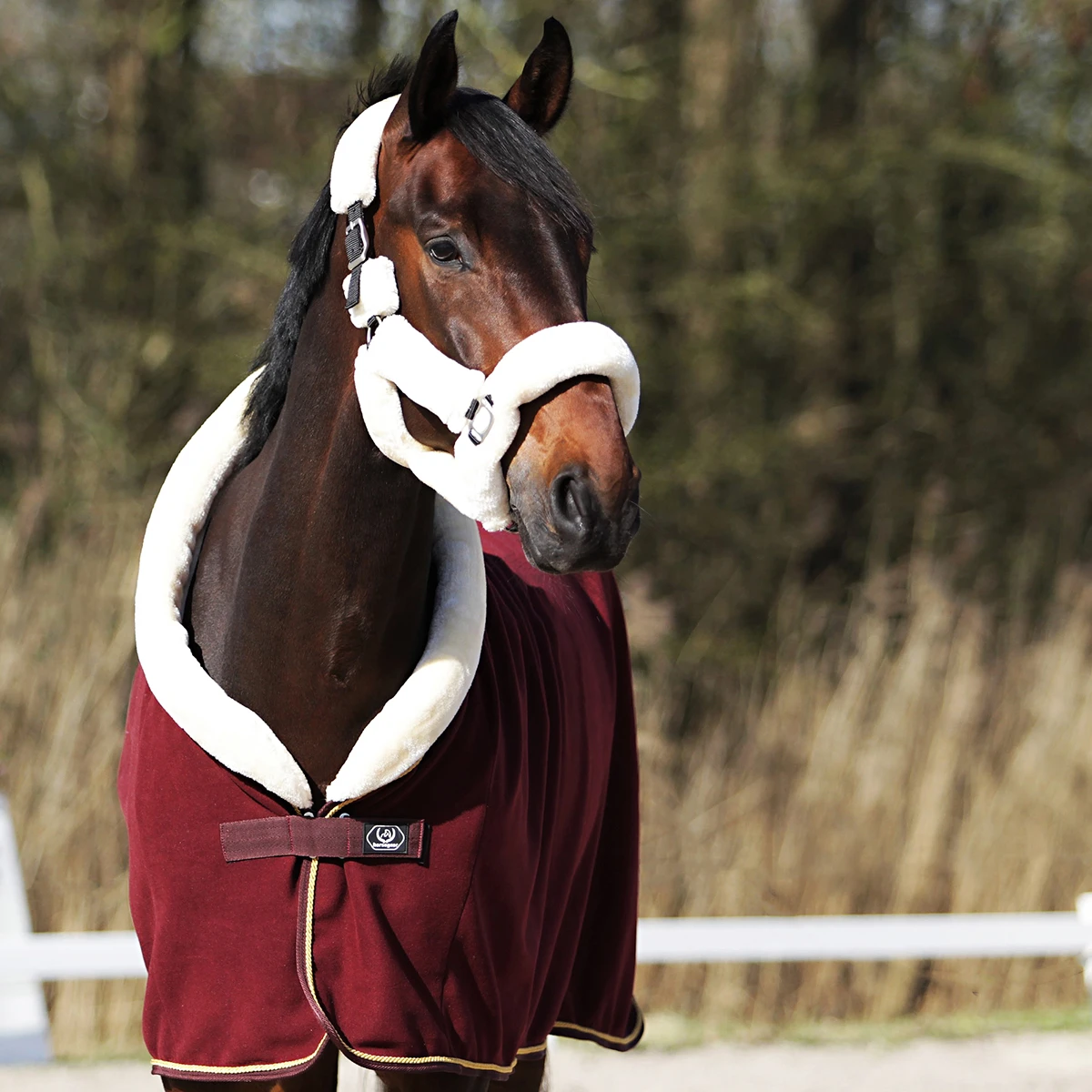 Zweetdeken Horsegear Allure Donkerrood - Afbeelding 4