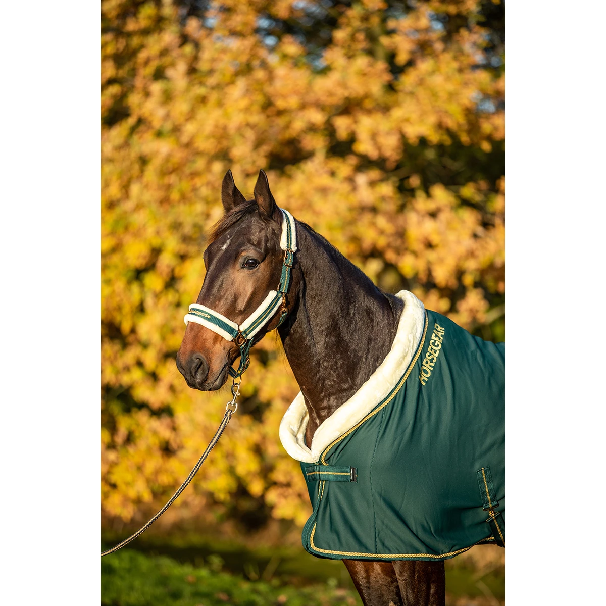 Zweetdeken Horsegear Lyx Donkergroen - Afbeelding 7