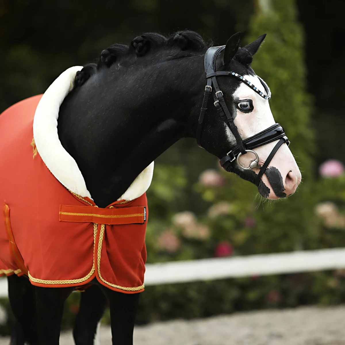 Zweetdeken Horsegear Lyx Middenoranje - Afbeelding 7