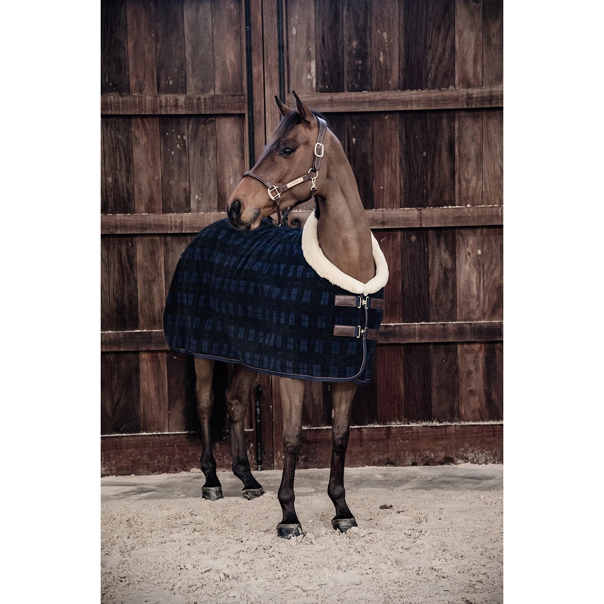 Zweetdeken Kentucky Show Heavy Blauw - Afbeelding 4