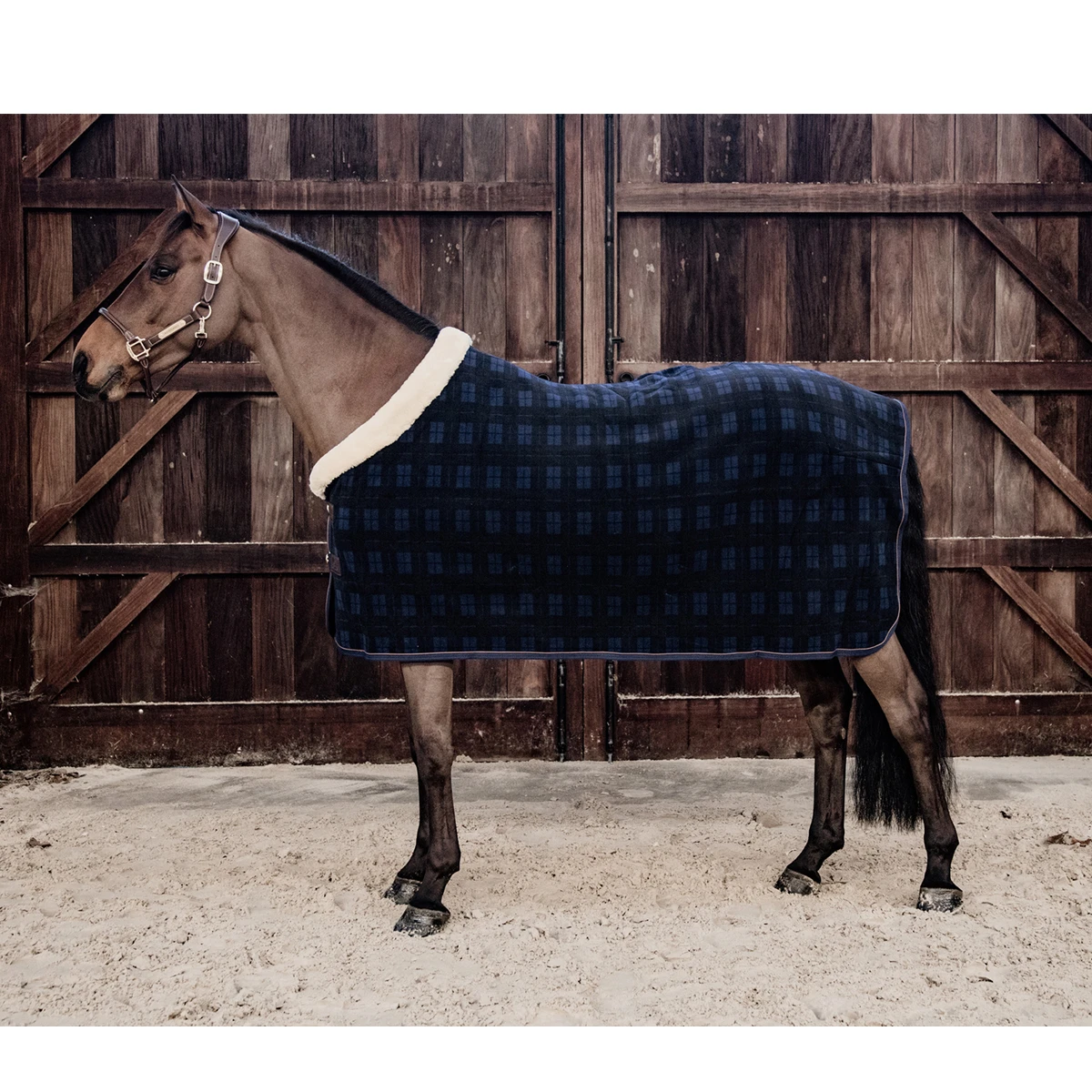 Zweetdeken Kentucky Show Heavy Blauw - Afbeelding 5