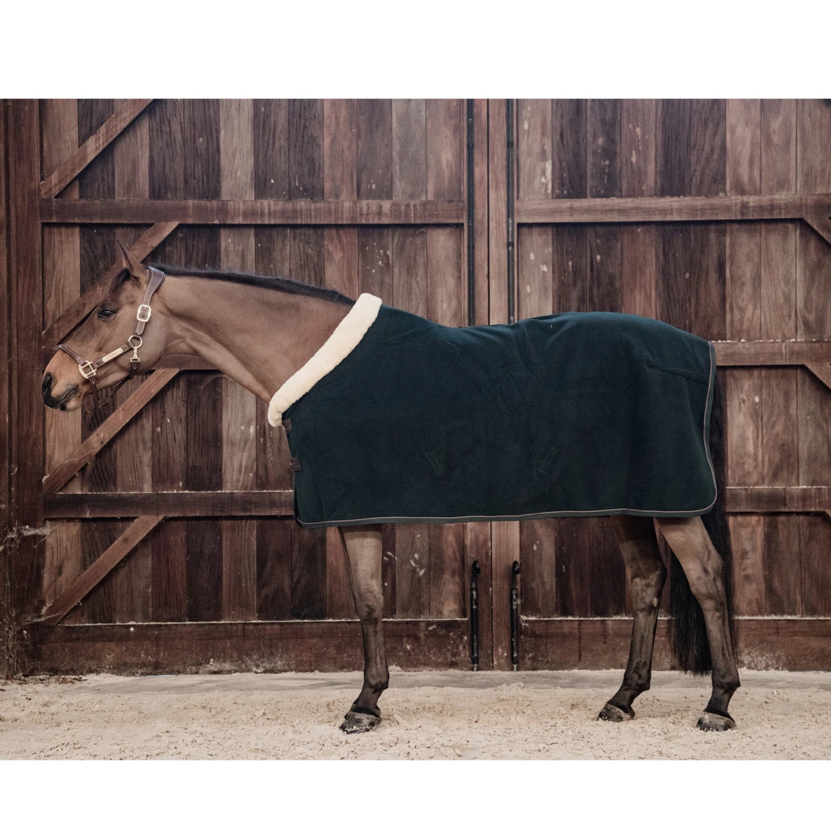 Zweetdeken Kentucky Show Heavy Donkergroen - Afbeelding 5