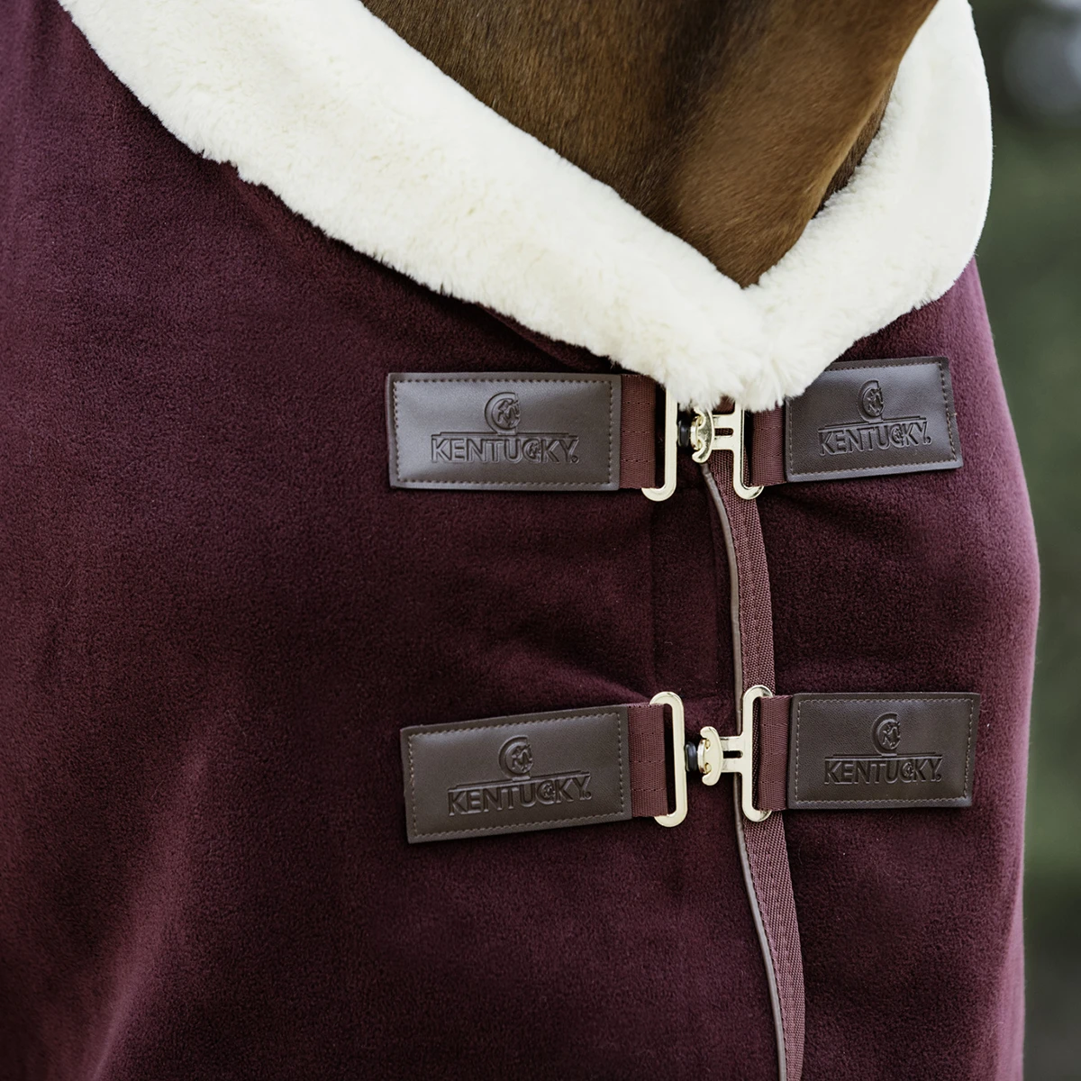 Zweetdeken Kentucky Show Heavy Donkerrood - Afbeelding 2