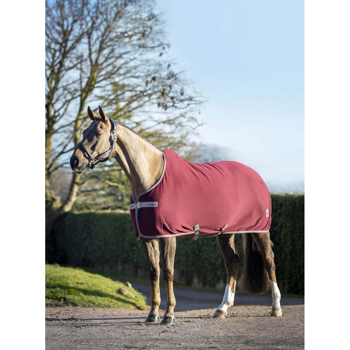 Zweetdeken LeMieux Arika Jersey-Tek Donkerrood - Afbeelding 7