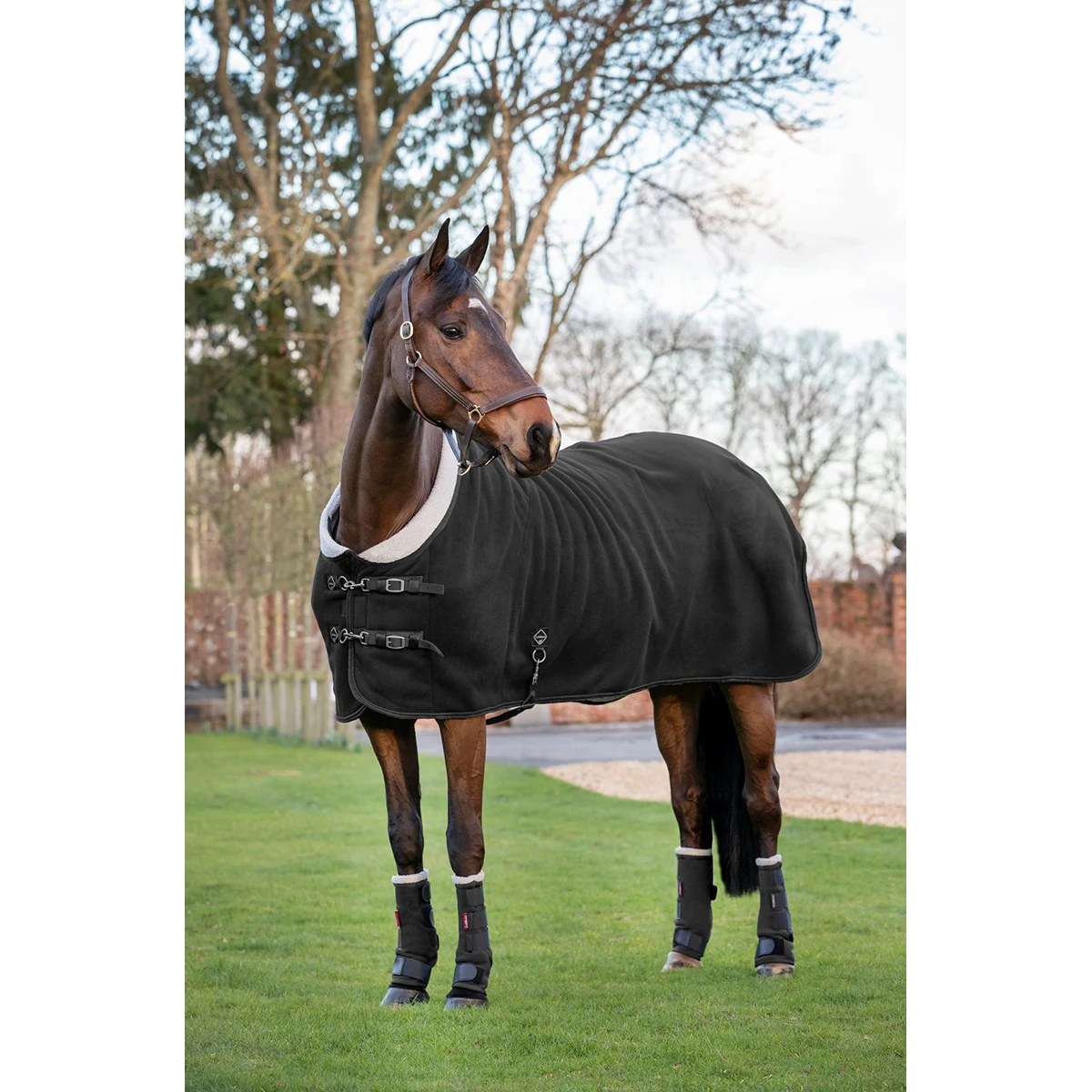 Zweetdeken LeMieux Four Seasons Zwart