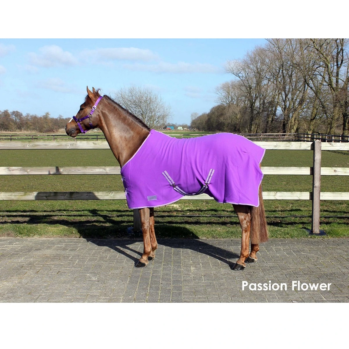 Zweetdeken QHP Color Paars - Afbeelding 2