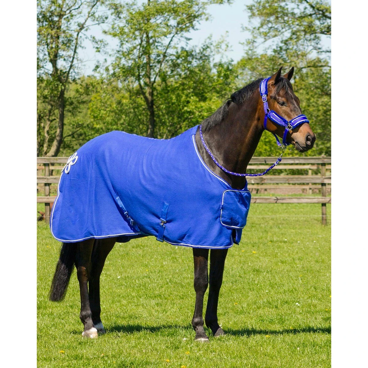 Zweetdeken QHP Ornament Blauw - Afbeelding 2