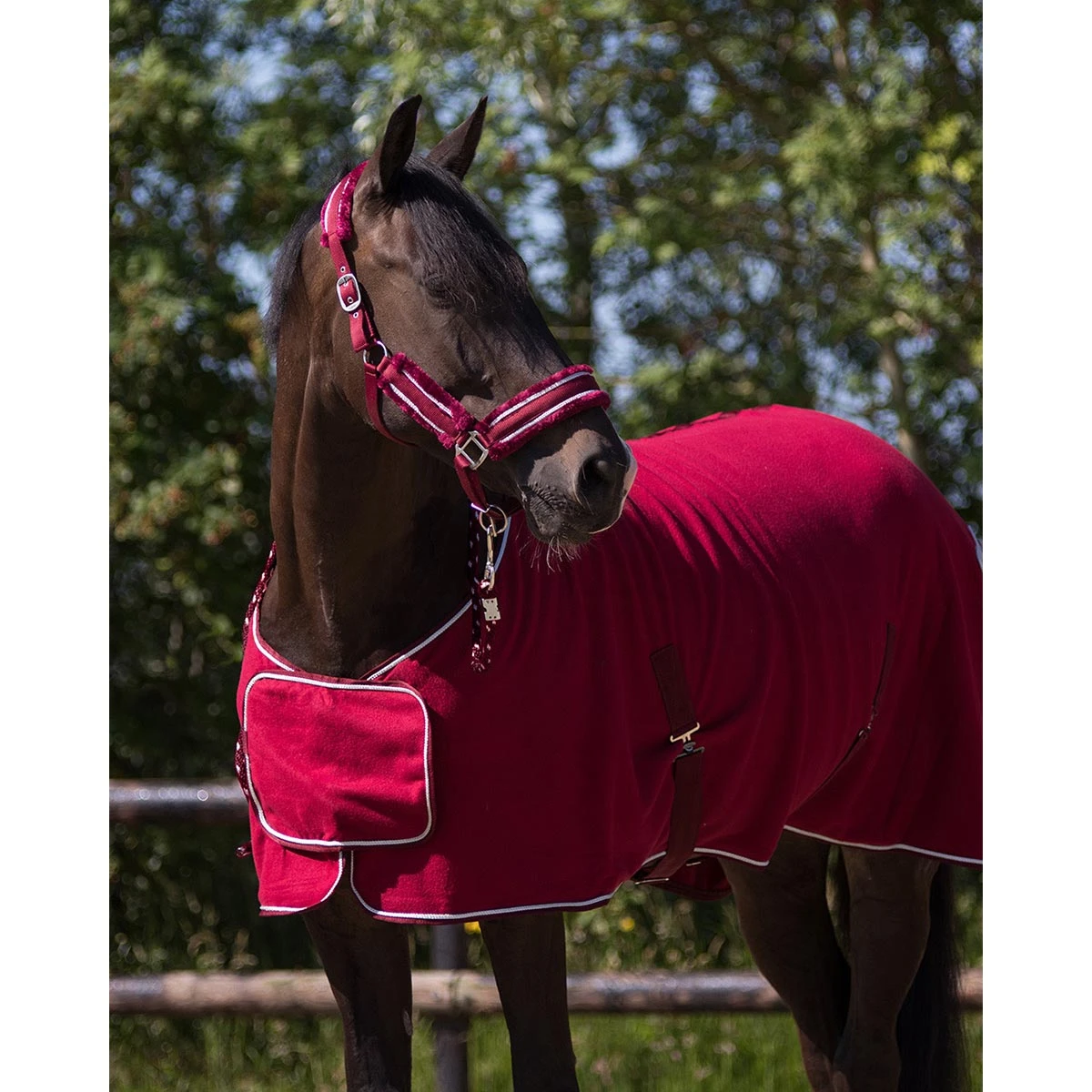 Zweetdeken QHP Ornament Donkerrood - Afbeelding 2