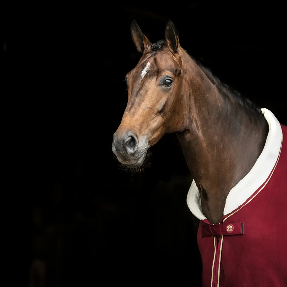 Zweetdeken SKØL Per Rood - Afbeelding 7